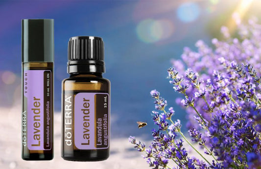 Lavendel doTERRA