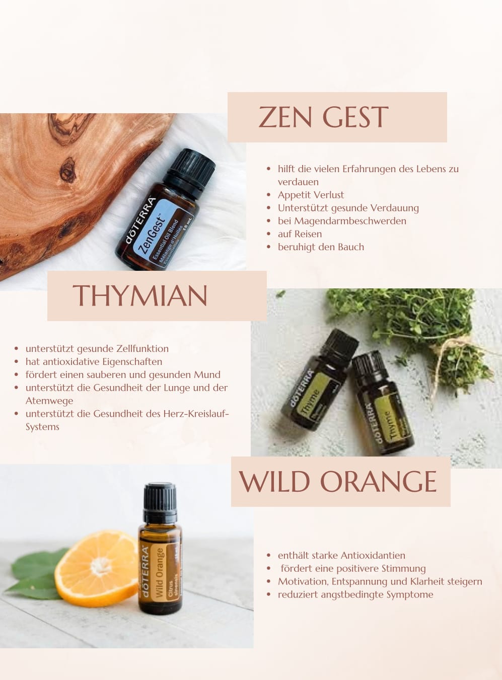 Zen Gest, Thymian, Wild Orange